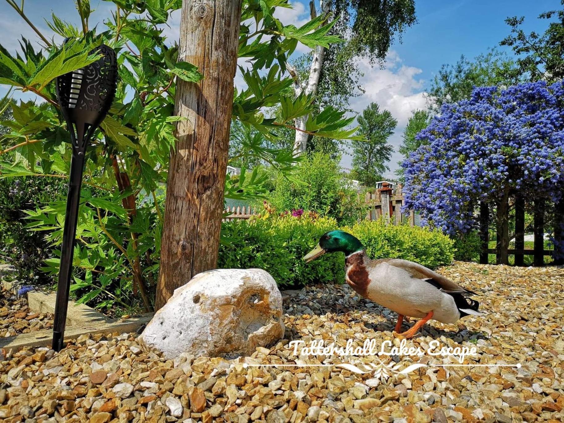 Meridian Tattershall Lakes Escape - Lakeside Lodge Caravan With A Fishing Peg Luxury Hot Tub Екстер'єр фото